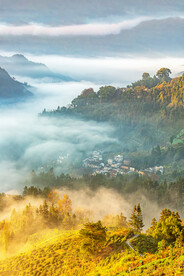 自然风景