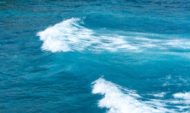 海水