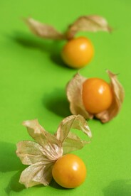 黄蕃茄