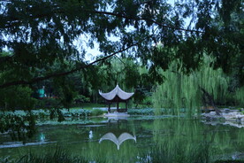 公园风景 