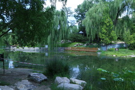 公园风景 