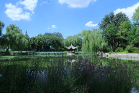 公园风景 