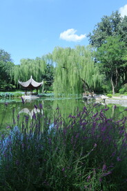公园风景 