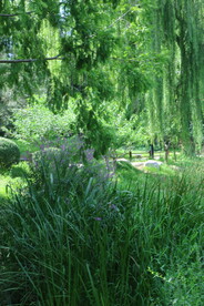 公园风景 