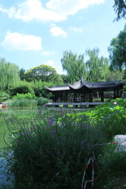 公园风景 