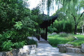 公园风景