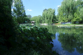 公园风景 