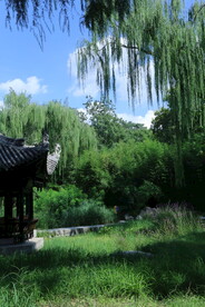 公园风景 