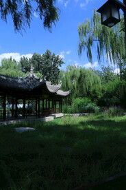 公园风景