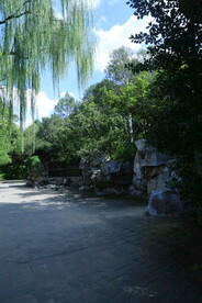 公园风景