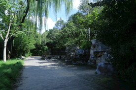 公园风景
