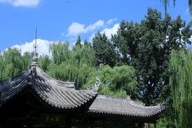 公园风景 