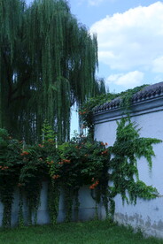 公园风景 