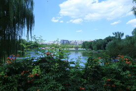 公园风景