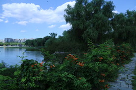 公园风景 