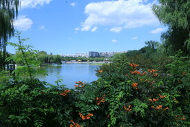 公园风景 