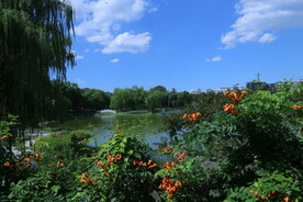 公园风景