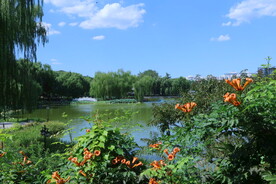 公园风景