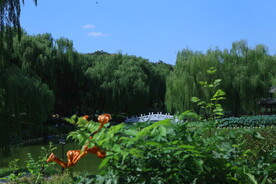 公园风景 