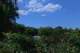 公园风景