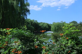 公园风景 