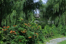 公园风景