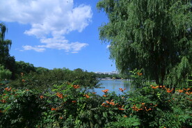公园风景 
