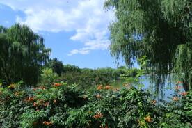 公园风景