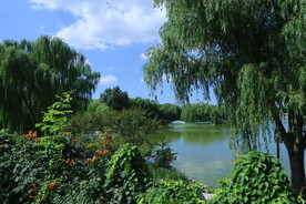 公园风景