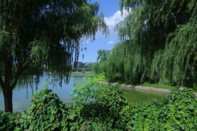 公园风景 