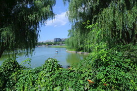 公园风景