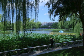 公园风景 