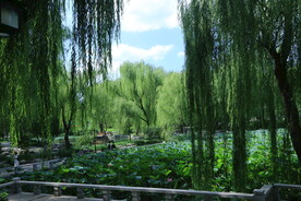 公园风景 