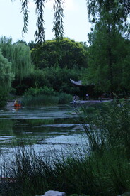 公园风景 
