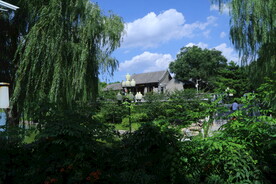 公园风景 