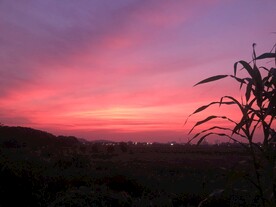 农村夕阳风景风光