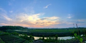 小溪河道乡村自然风光