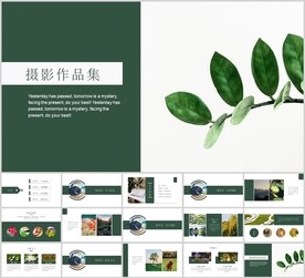 小清新绿植摄影作品集模板