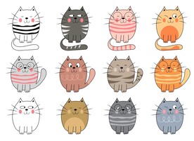 卡通猫
