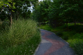 公园风景