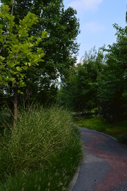 公园风景