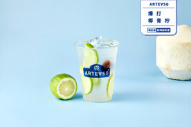 ARTEVSG