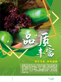 新鲜蔬菜水果超市海报图片