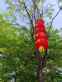 自然 风景