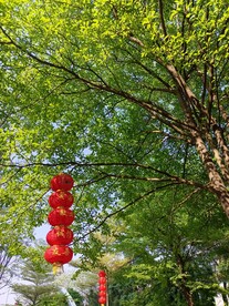 自然 风景