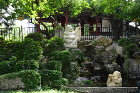 公园风景