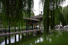 公园风景 