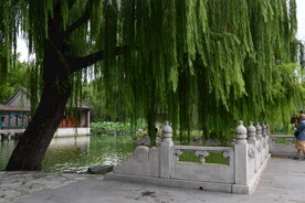 公园风景