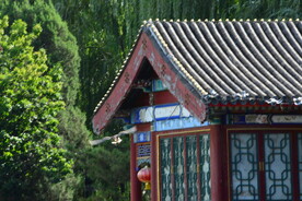 公园风景
