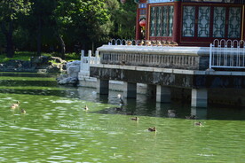 公园风景